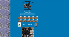 Desktop Screenshot of graveslabradors.com